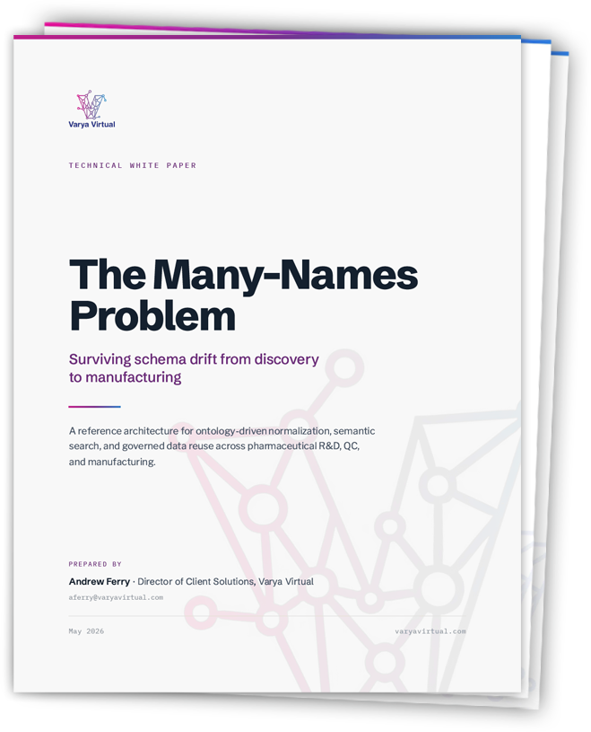 The Many-Names Problem White Paper